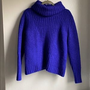 Cobalt Blue Banana Republic Chunky Turtleneck